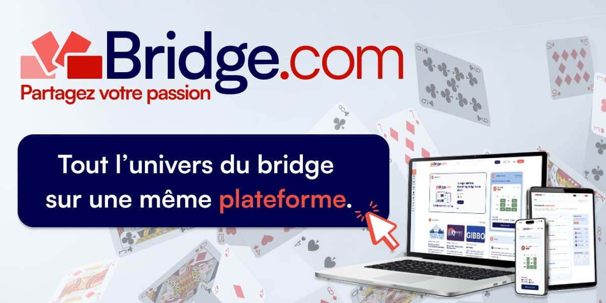 Le bridgeur
