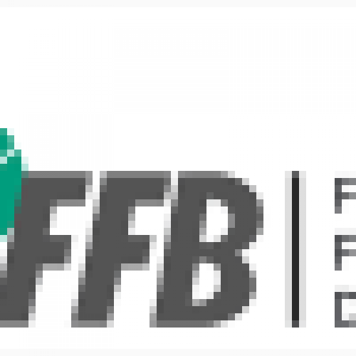 Logo ffb petite taille