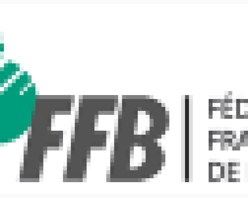 Logo ffb petite taille